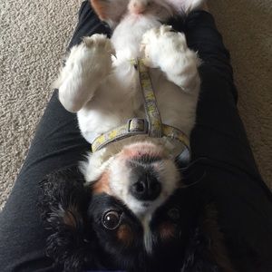 Meet your Posher, Adriana